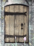 H.C. Cotswald Door and Tulips