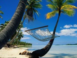Hammock Hanging Seaside