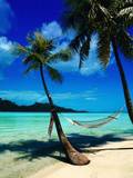 Hammock Hanging Seaside