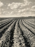 Local Farmland