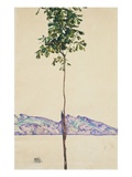 Little Tree (Chestnut Tree at Lake Constance) Giclee Print