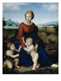 Madonna of the Meadow