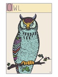 Owl