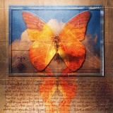 Buy Overlaying Butterflies and Text at AllPosters.com