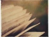 Open Book #1 Photographic Print