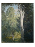 Painting of Birch Trees in Forest by Julian Alden Weir