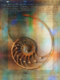 Seashell and Handwriting