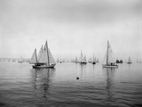 Buy Sailboats Waiting to Race at AllPosters.com