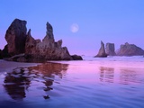Buy Sea Stacks and Beach at AllPosters.com