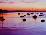 Buy Sailboats Anchored in a Harbor at AllPosters.com
