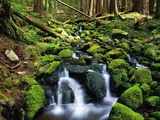 River Winding Between Mossy Rocks