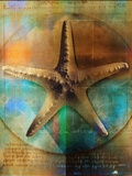 Starfish