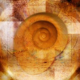 Buy Snail Shell and Handwriting at AllPosters.com