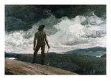 The Woodcutter