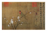 The Five-Colored Parakeet