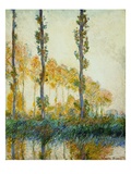 Three Trees, Autumn