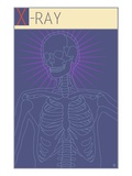 X-Ray