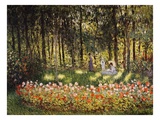 Wooded Scene