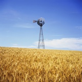 Windmill in Wheat Field