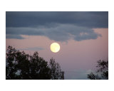 Buy Almost Full at AllPosters.com