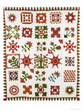 An Appliqued Cotton Album Quilt, circa 1852