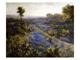 Buy Field of Texas Bluebonnets and Prickly Pear Cacti at AllPosters.com