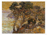 Point Lobos, Monterey Coast