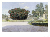 Buy The Big Oleander at AllPosters.com