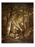 Buy Wooded Interior, 1877 at AllPosters.com