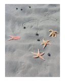 Buy Waiting for the tide at AllPosters.com