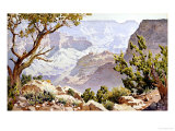 Buy Grand Canyon at AllPosters.com
