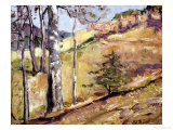 Buy Spring Hillside at AllPosters.com