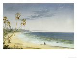 Buy Cuban Landscape, 1866 at AllPosters.com