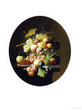 Nature's Bounty I
