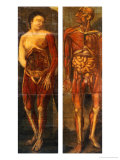 Anatomical Drawings of Male and Female Figures, 1752 Giclee Print