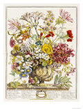 Hand Colored Engraving of Bouquet- October, 1730 Giclee Print