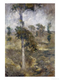 Buy Tulip Tree, Greenwich at AllPosters.com