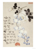 Buy Roses and Wisteria at AllPosters.com
