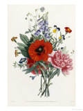 Buy Collection Des Fleurs et Des Fruits, 1805 at AllPosters.com