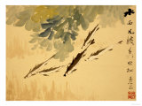 Fish, A Leaf from an Album of Various Subjects