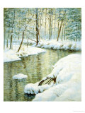 Winter Stream, Sunset Glow