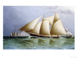 Buy Vesta off the Needles at AllPosters.com