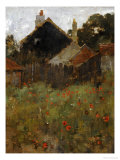 The Poppy Field
