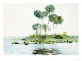 Buy St. Johns River, Florida, 1890 at AllPosters.com