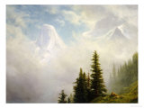 High in the Mountains