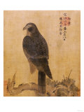 Falcon on a Pine Limb, Emperor Xuande, circa 1426-1435
