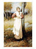 Buy A Rose in New England at AllPosters.com