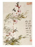 Willow and Peach Blossoms