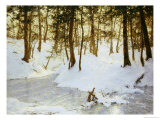 Ice in the Glen, 1908