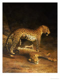 Two Leopards Lying in the Exeter Exchange, 1808